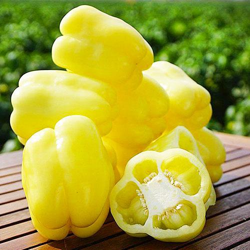 Насіння Перець Florium Микита F1 Кремовий (6329) - фото 2 Насіння Перець Florium Микита F1 Кремовий (6329) - фото 2