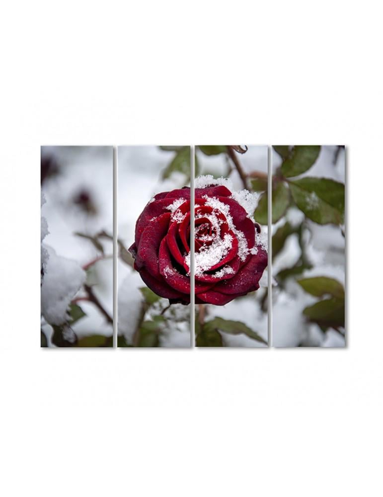 Картина модульная Сердце розы в снегу 4 модуля 60x90 см