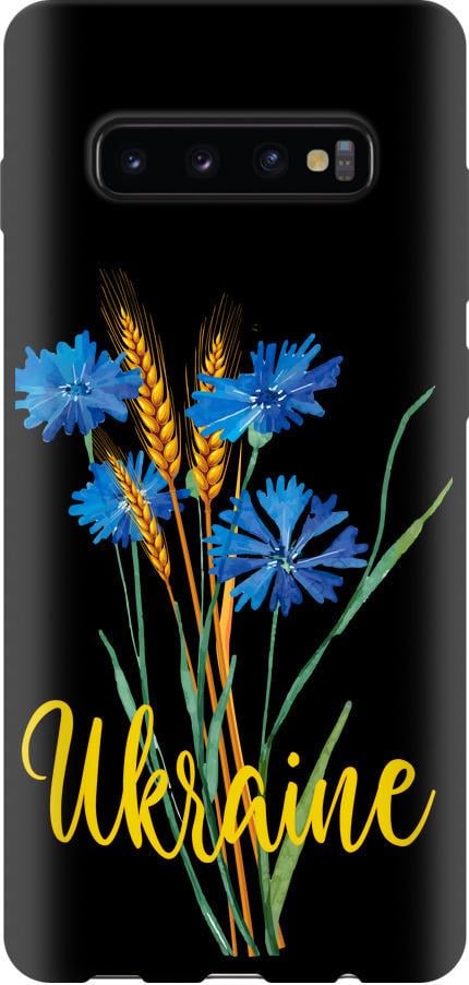 Чехол на Samsung Galaxy S10 Plus Ukraine v2 (5445b-1649-42517)