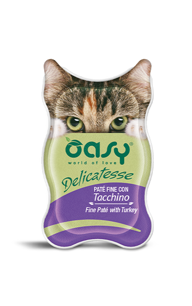 OASY Cat 11684472