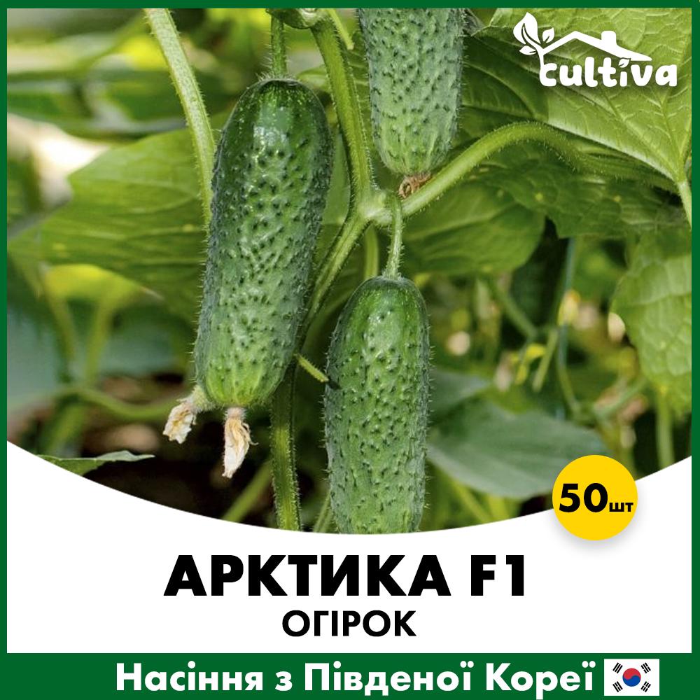 Насіння огірка NongWoo Bio Арктика F1 50 шт. (50akt)