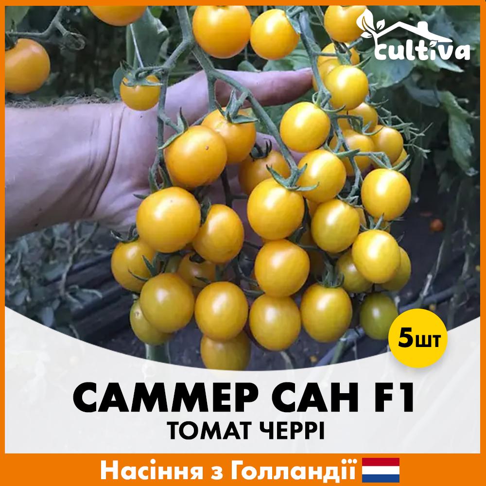 Семена томата Hazera Желтый Черри Саммер Сан F1 5 шт. (R51135)