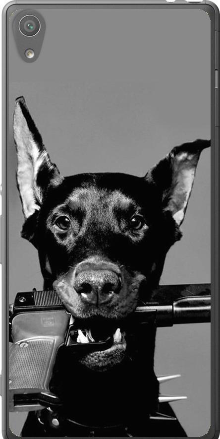Чехол на Sony Xperia XA F3112 Доберман (2745t-399-42517)