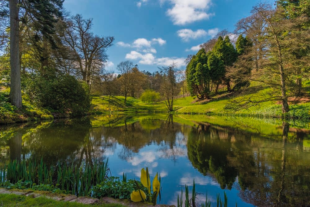 Картина Природа PR214 55х85 см