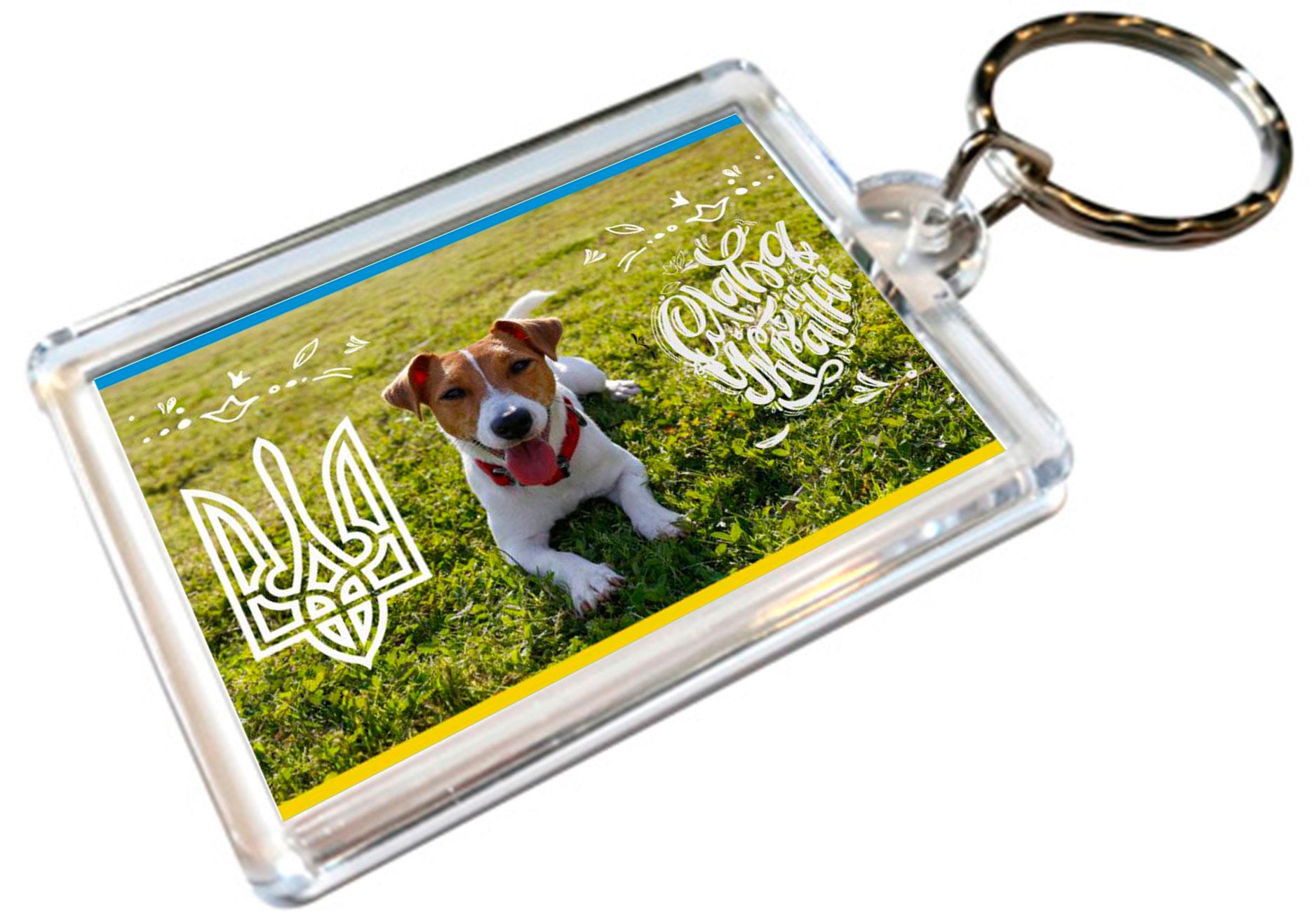 Брелки для ключей акриловые Apriori Пес Патрон Украина 5 шт. 5 вид