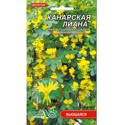 Насіння Настурція Канарська ліана жовта однорічна кучерява 1 г (26345)