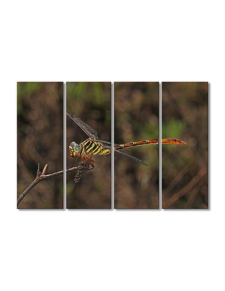 Картина модульная Стрекоза 4 модуля 70x105 см
