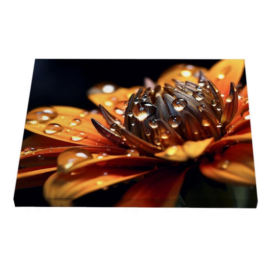 Постер Riviera Blanca Краплі на пелюстках 40x50 см (ПС50-062)