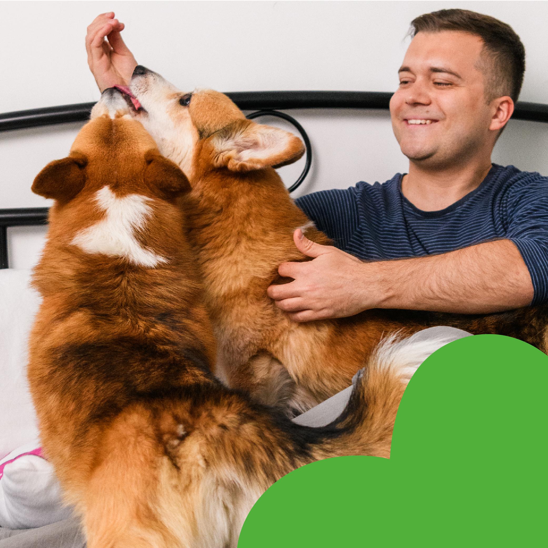 Лакомства для собак Mavsy freeze dried RABBIT PARFAIT ON A SPINACH PILLOW WITH CREAM от 3-х месяцев 50 г (24624815) - фото 6 Лакомства для собак Mavsy freeze dried RABBIT PARFAIT ON A SPINACH PILLOW WITH CREAM от 3-х месяцев 50 г (24624815) - фото 6