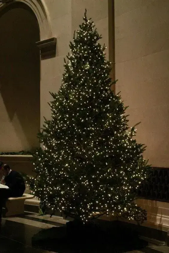 Гирлянда Роса с теплым белым светом/зеленая нить пульт 8 режимов 200 м (30455479) - фото 4 Гирлянда Роса с теплым белым светом/зеленая нить пульт 8 режимов 200 м (30455479) - фото 4