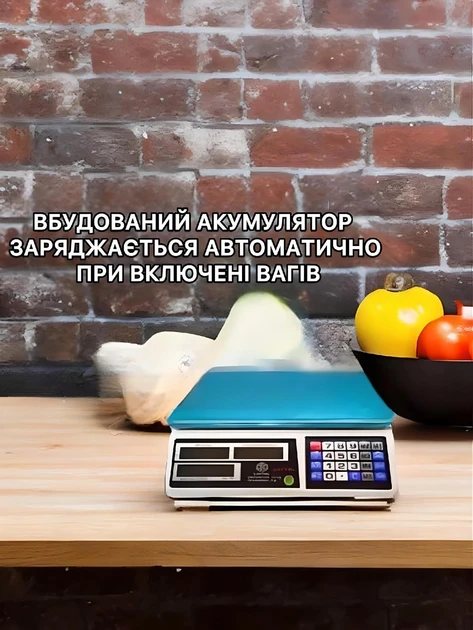 Ваги торговельні електронні Domotec MS 228 до 50 кг акумуляторні (2851) - фото 3 Ваги торговельні електронні Domotec MS 228 до 50 кг акумуляторні (2851) - фото 3