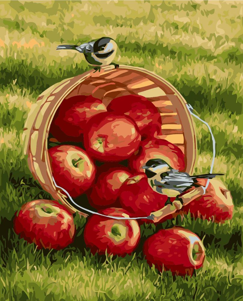 Картина по номерам Идейка Хрустящие яблочки 40x50 см (skl-КНО2469)