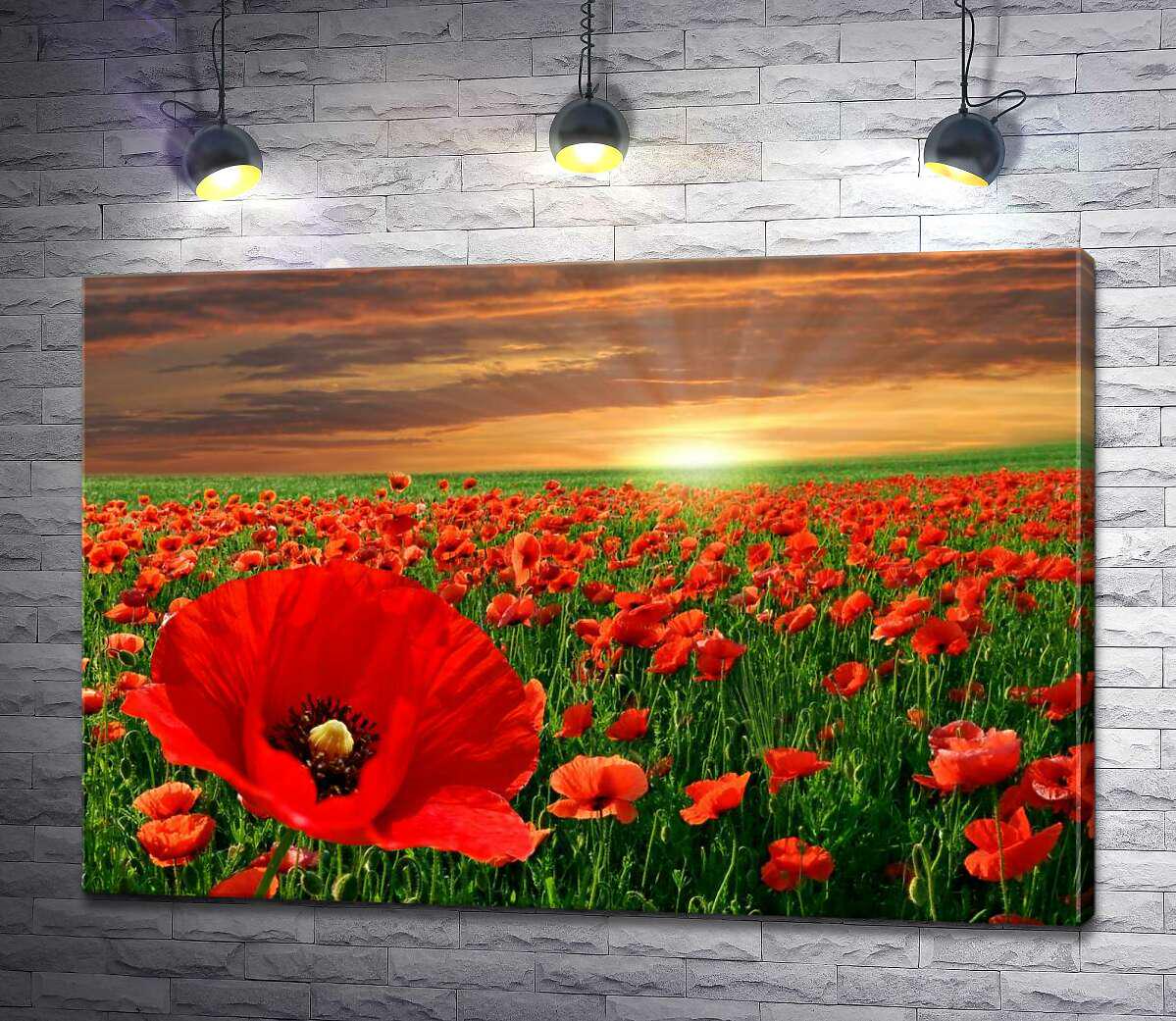 Картина ArtPoster Полум'яні маки світяться в сонячних променях 100x69 см Модуль №1 (000225)