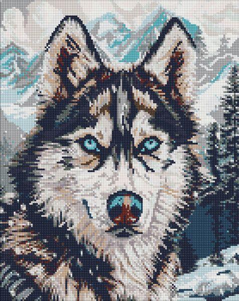 Алмазна мозаїка Очі півночі art_selena_ua 40х50 см (AMO20041)
