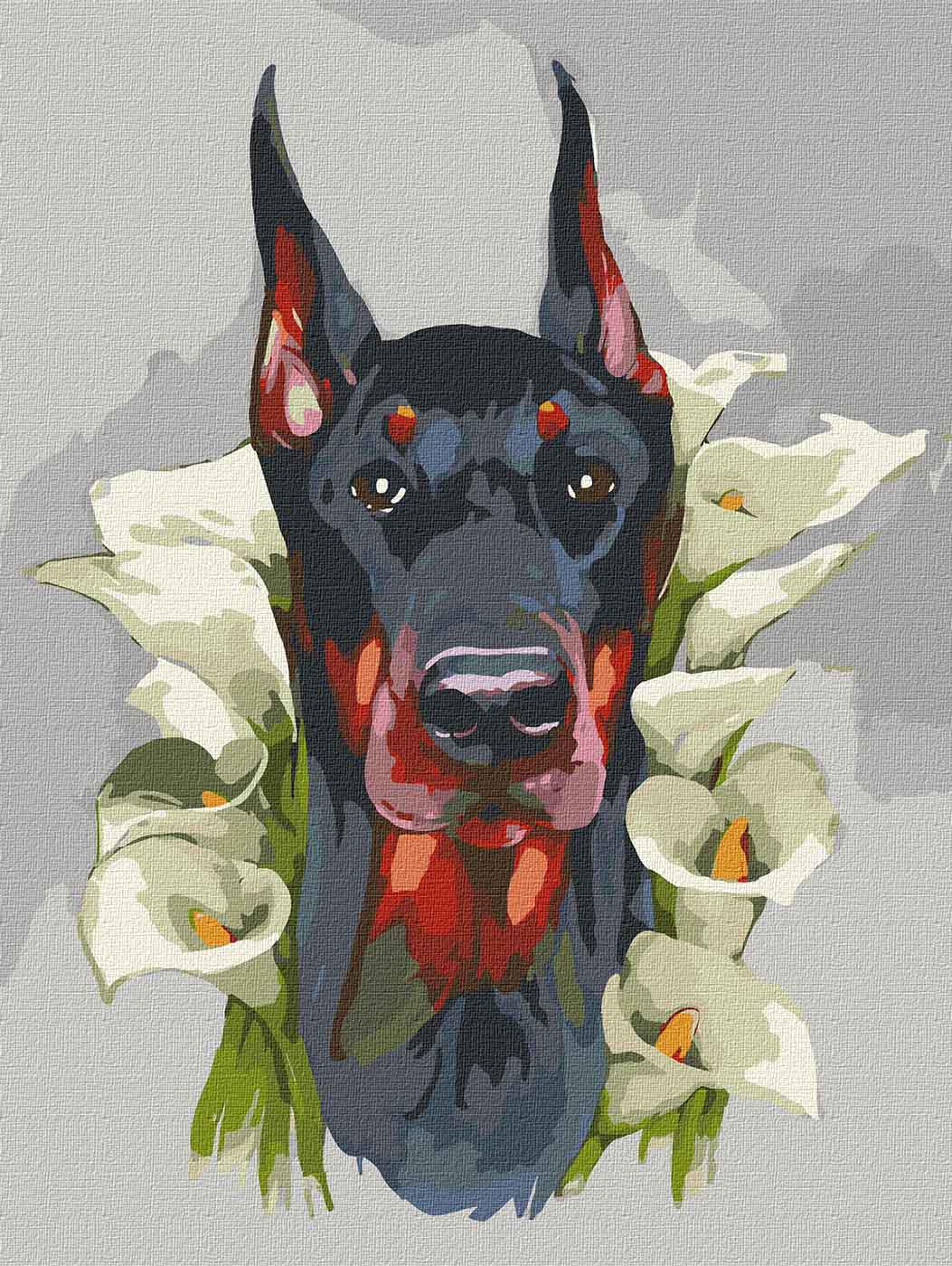 Картина за номерами Ідейка Величний доберман 30х40 см (KHO4230)