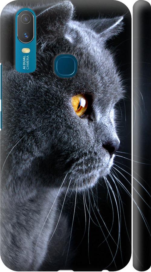 Чехол на Vivo Y11 Красивый кот (3038m-629-42517)