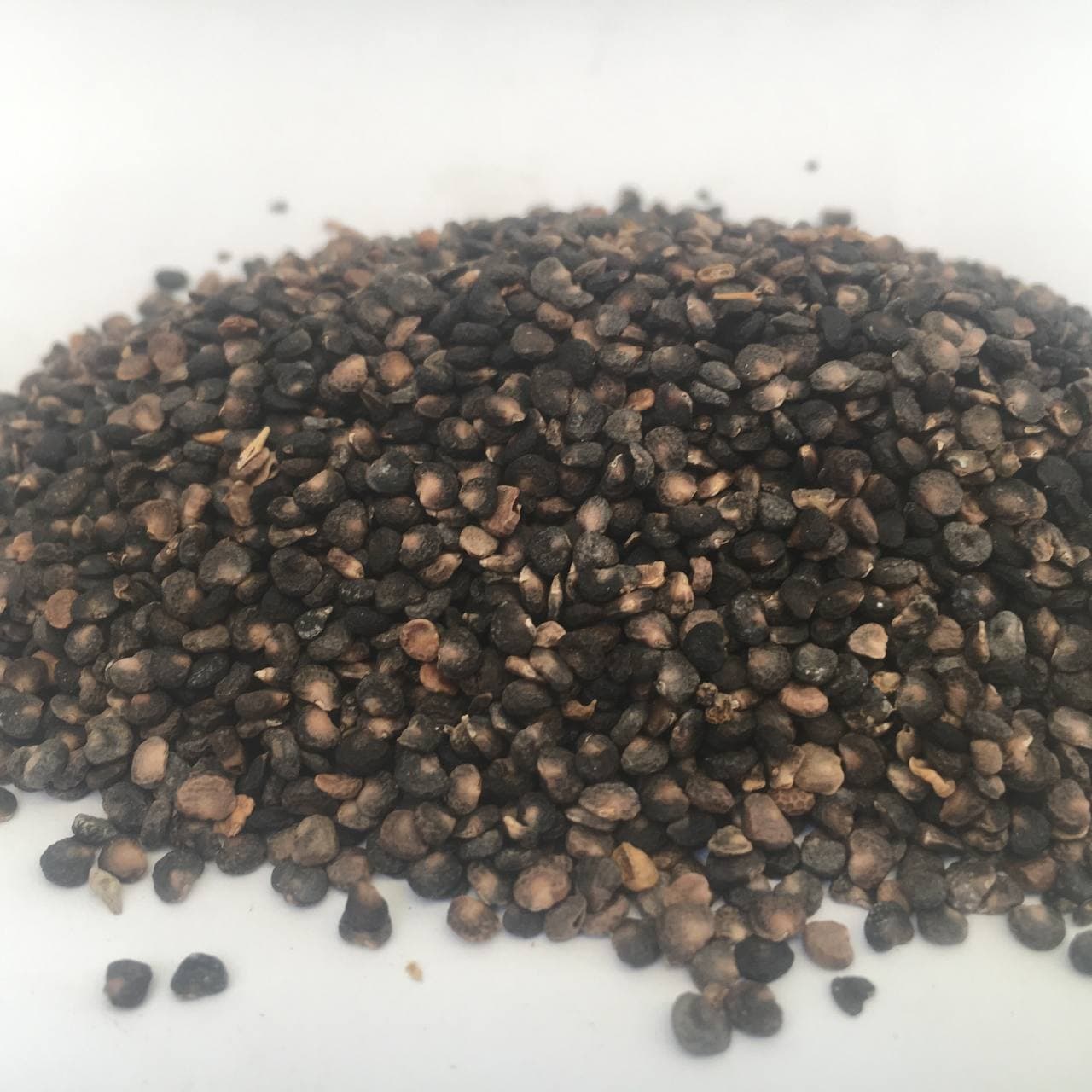 Дурман семена Карпаты 50 г (61aa101519d7624211423ed5)