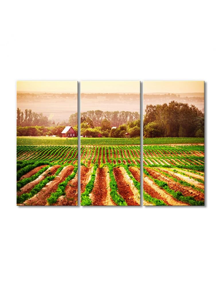 Картина модульная Сельское хозяйство 3 модуля 60x90 см