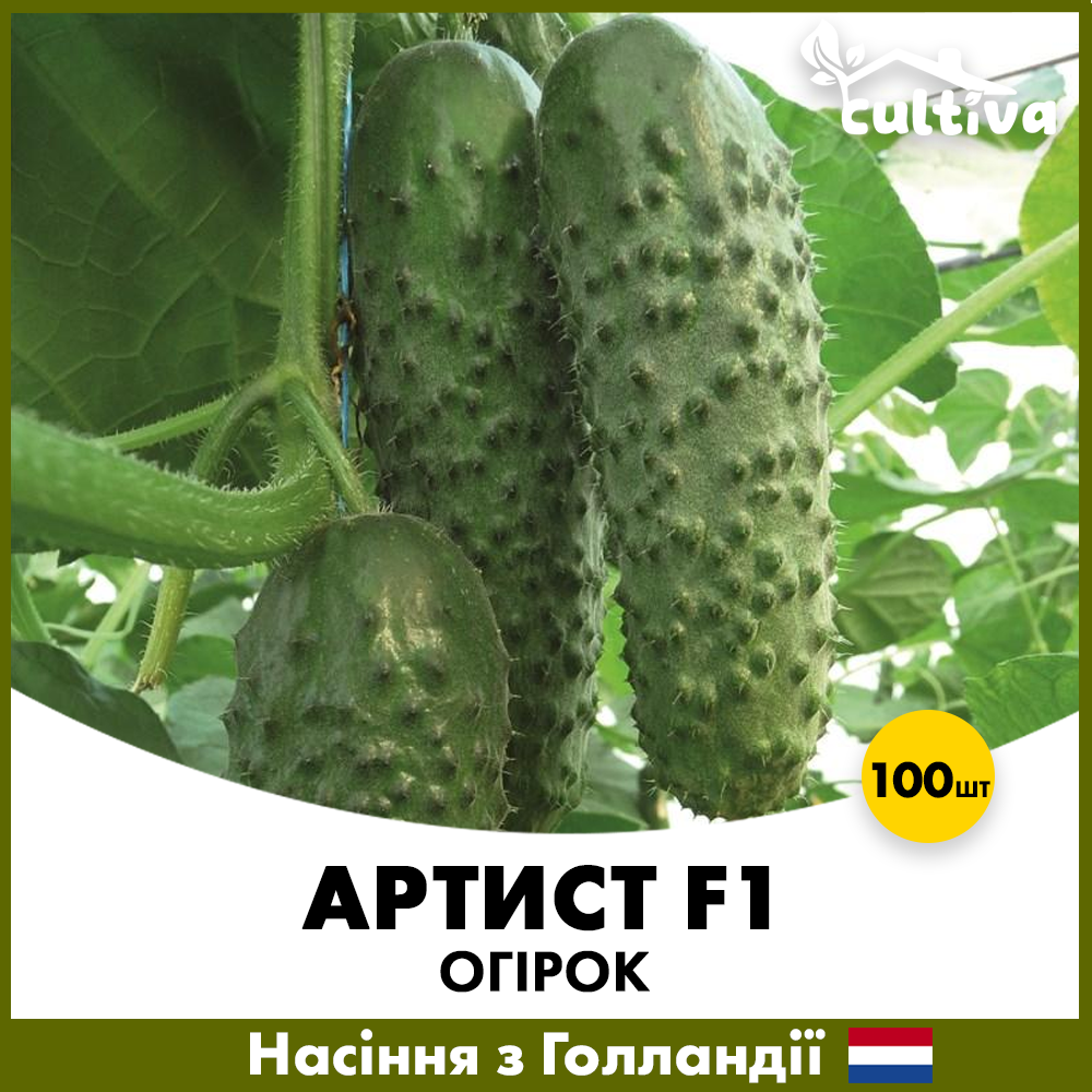 Семена огурца Bejo Артист F1 100 шт. (O2-100)