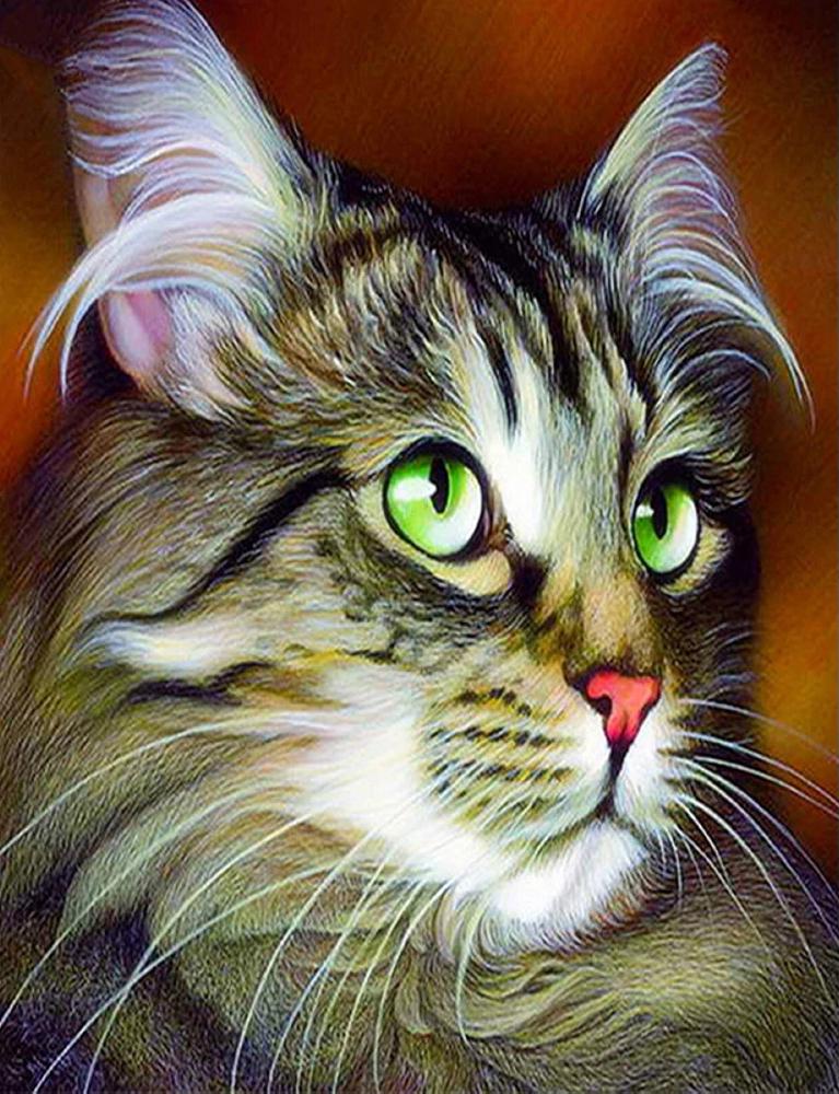 Алмазная мозаика Emerald Craft Кот 20x30 см (17351) Алмазная мозаика Emerald Craft Кот 20x30 см (17351)