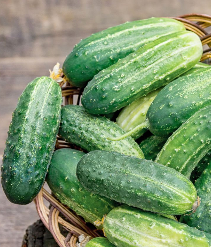 Семена Огурец GL Seeds Дедушка внучка F1 10 шт. (1900)
