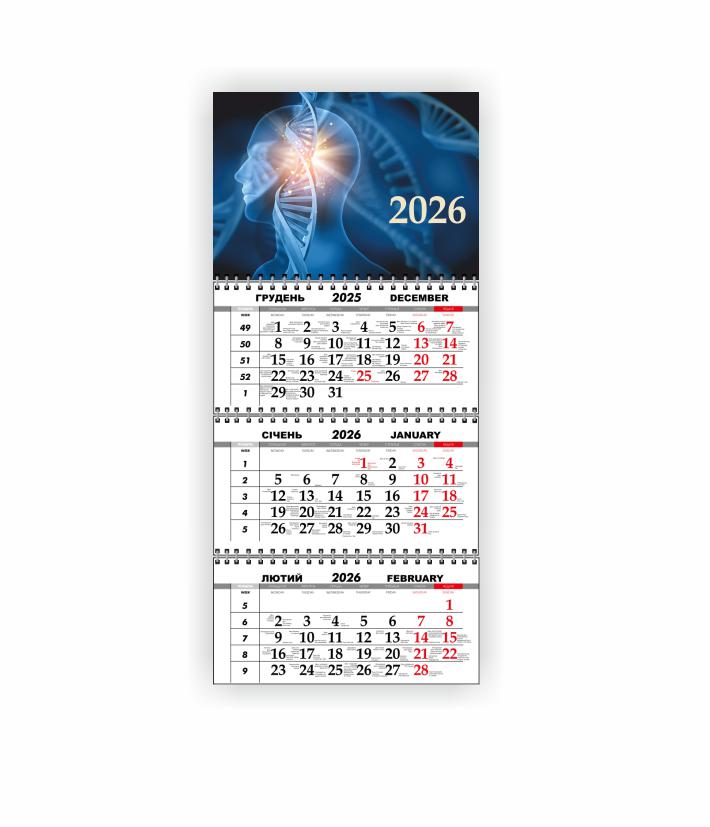 Календарь настенный квартальный Vivay Медицинский на 2026 год (31064191) Календарь настенный квартальный Vivay Медицинский на 2026 год (31064191)