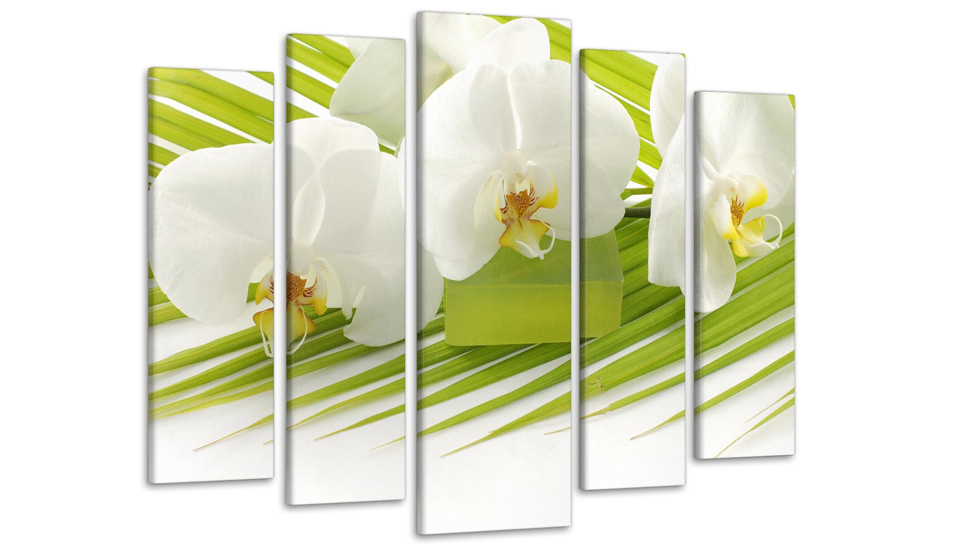 Модульная картина Орхидея 80х118 см (Art-33_5)