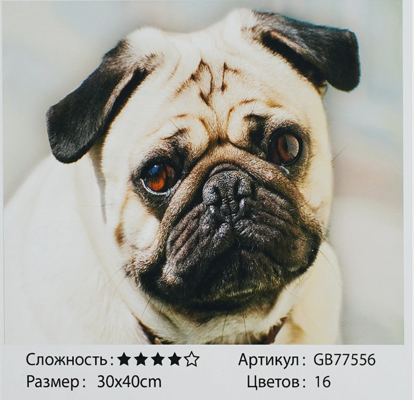 Алмазна мозаїка TK Group Мопс 30х40 см (GB 77556)