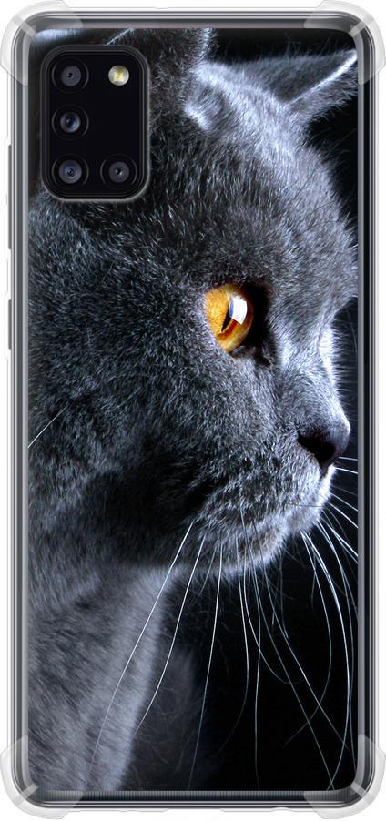 Чехол на Samsung Galaxy A31 A315F Красивый кот (3038sp-1908-42517)