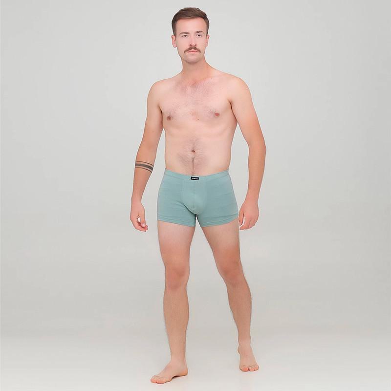 Трусы мужские шорти Chikiss L Изумрудный (CMH 001)