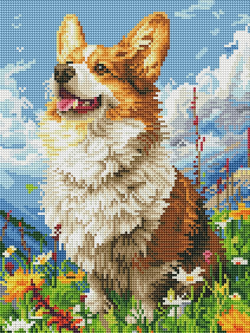 Алмазная мозаика Brushme Солнечный Корги 30x40 см (DRBS53943)