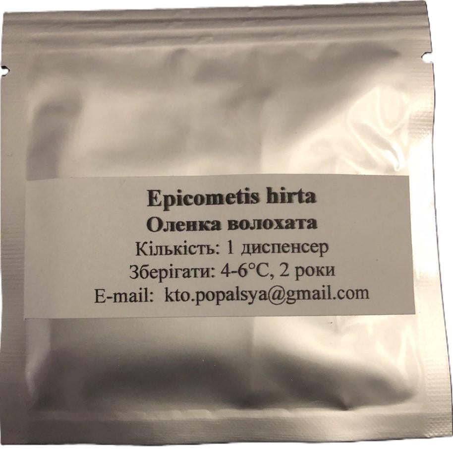 Феромон на Аленушку волосатую (1611474265)