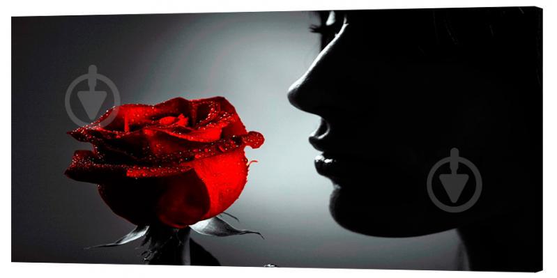 Картина на холсте Декор Карпаты Роза 50х100 см (l245)