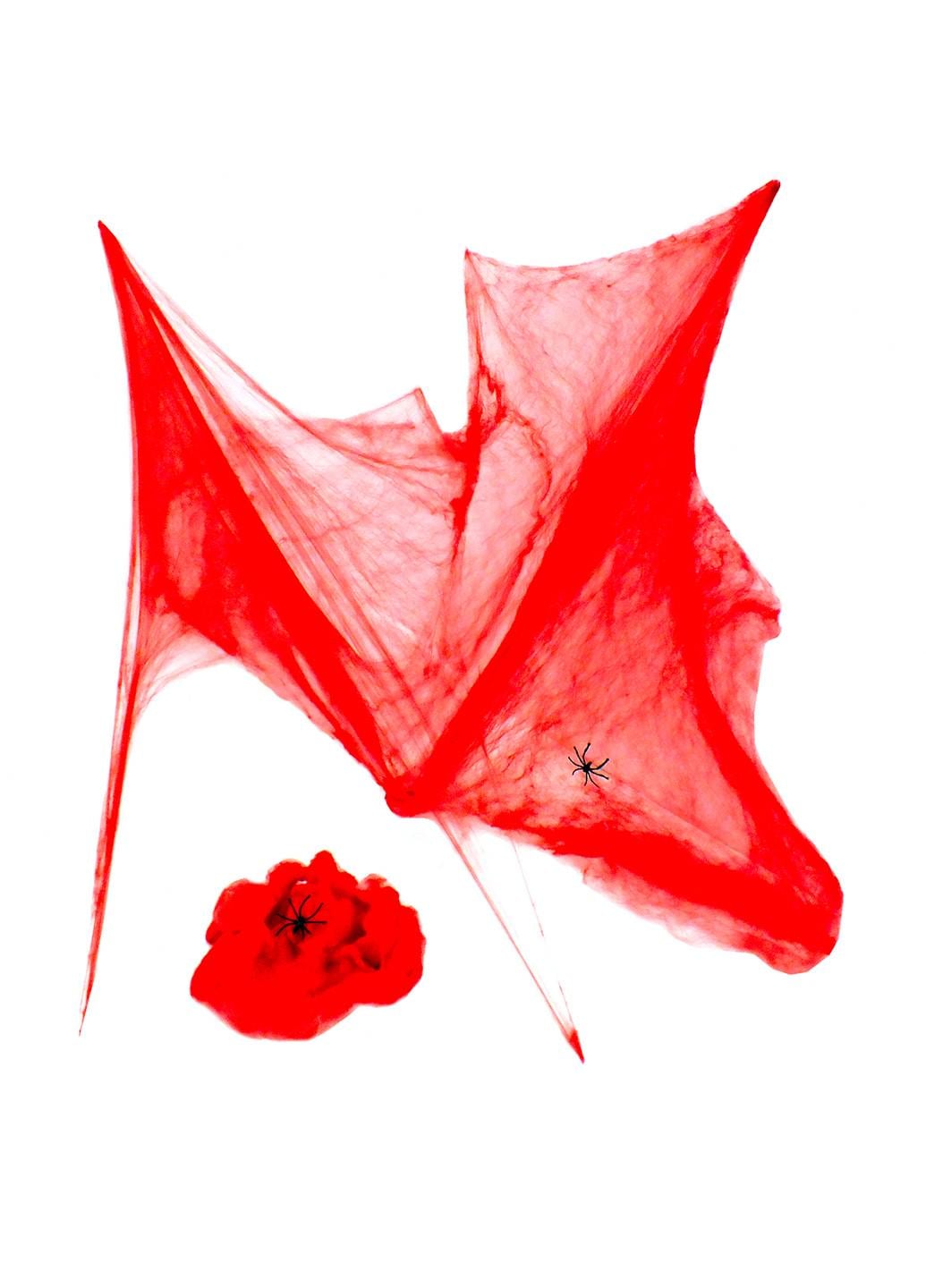 Паутина 20 г (11-342RD)