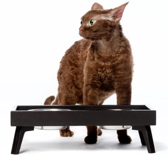 Подставка под миски для кошек из дерева Тигрис Венге (ПКШ-000512)