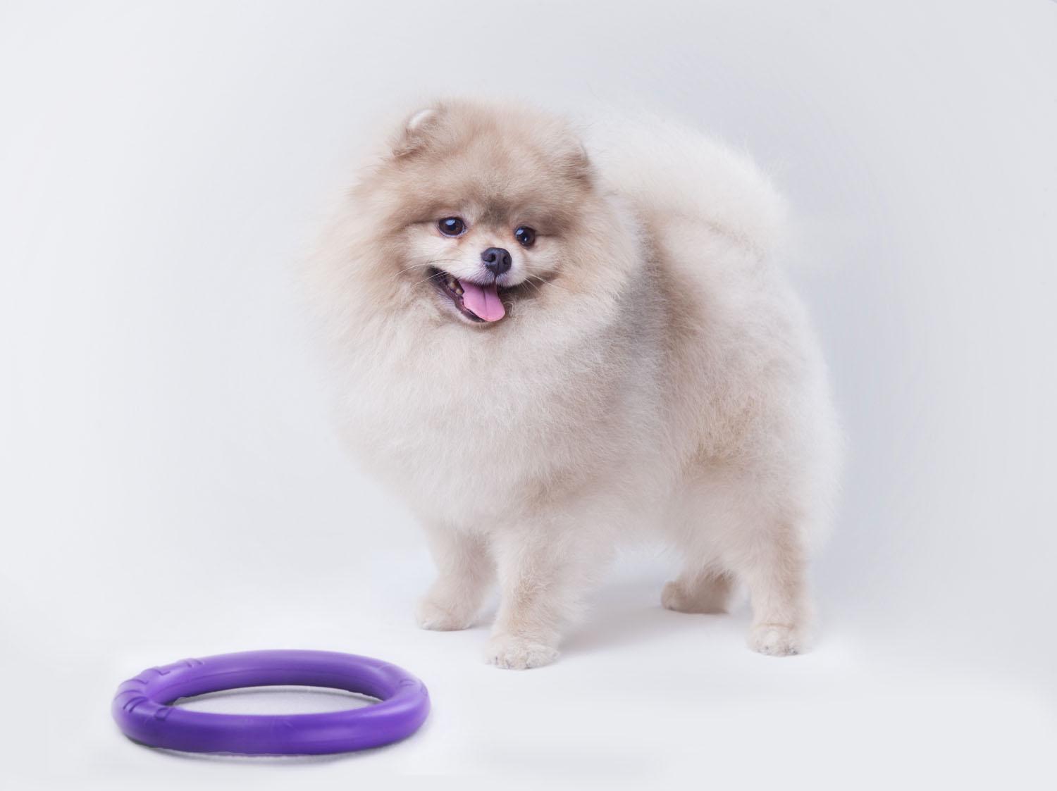 Тренувальний снаряд для собак Puller Micro 12,5 см (6489) - фото 4 Тренувальний снаряд для собак Puller Micro 12,5 см (6489) - фото 4