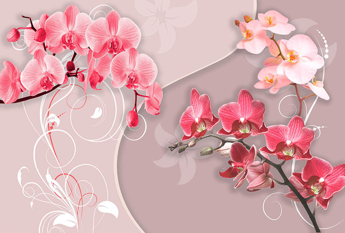 Фотообои WS Wallpaper Орхидеи 392x270 см (31332) Фотообои WS Wallpaper Орхидеи 392x270 см (31332)