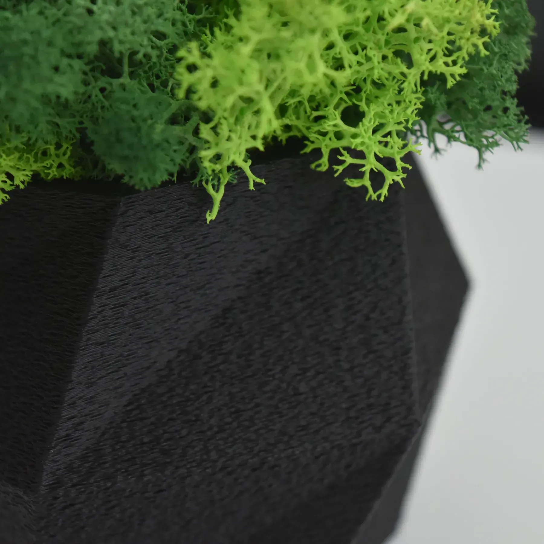 Кашпо Hurricane со стабилизированным мхом Черный/Зеленый/Салатовый (KM-C-1) - фото 3 Кашпо Hurricane со стабилизированным мхом Черный/Зеленый/Салатовый (KM-C-1) - фото 3