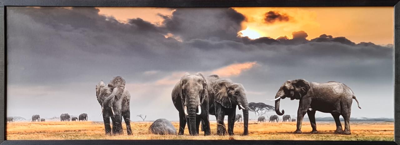 Фотокартина в деревянной раме Elephants 3 35х100 см (POS-35100-242)