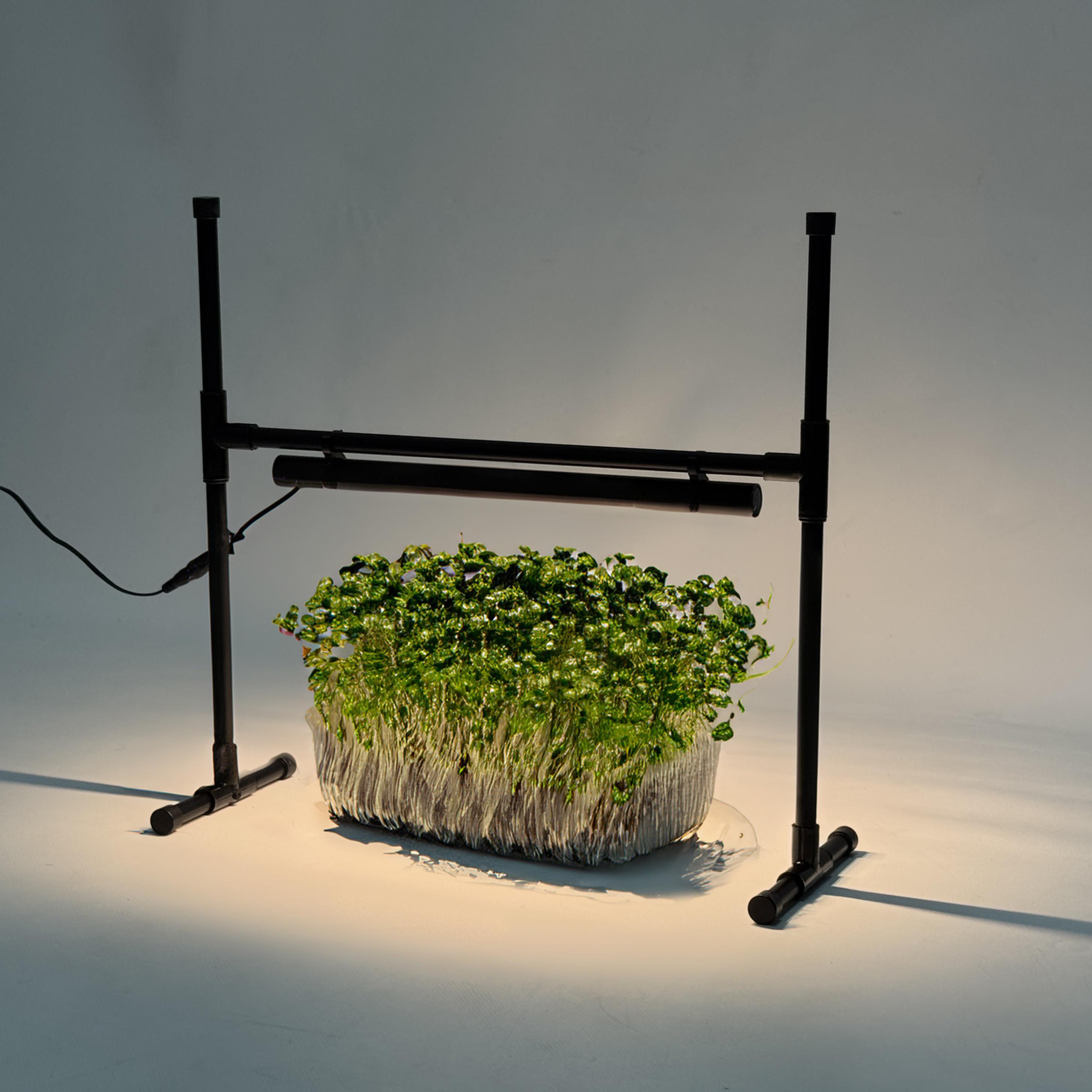 Фитолампа для рассады/микрозеленые Mario детская (27438207) - фото 3