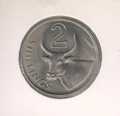 Коллекционная монета Гамбия 2 шиллинга 1966 Буйвол VF (KM#5)