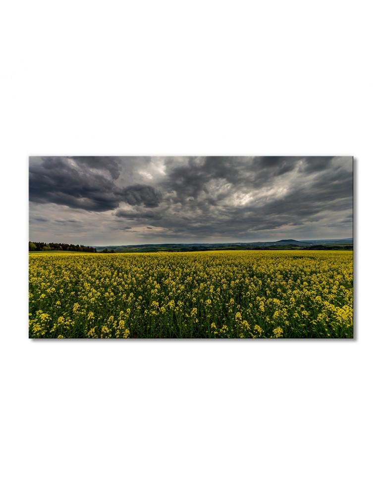 Картина модульная Пасмурное небо над цветочным полем 1 модуль 40х60 см