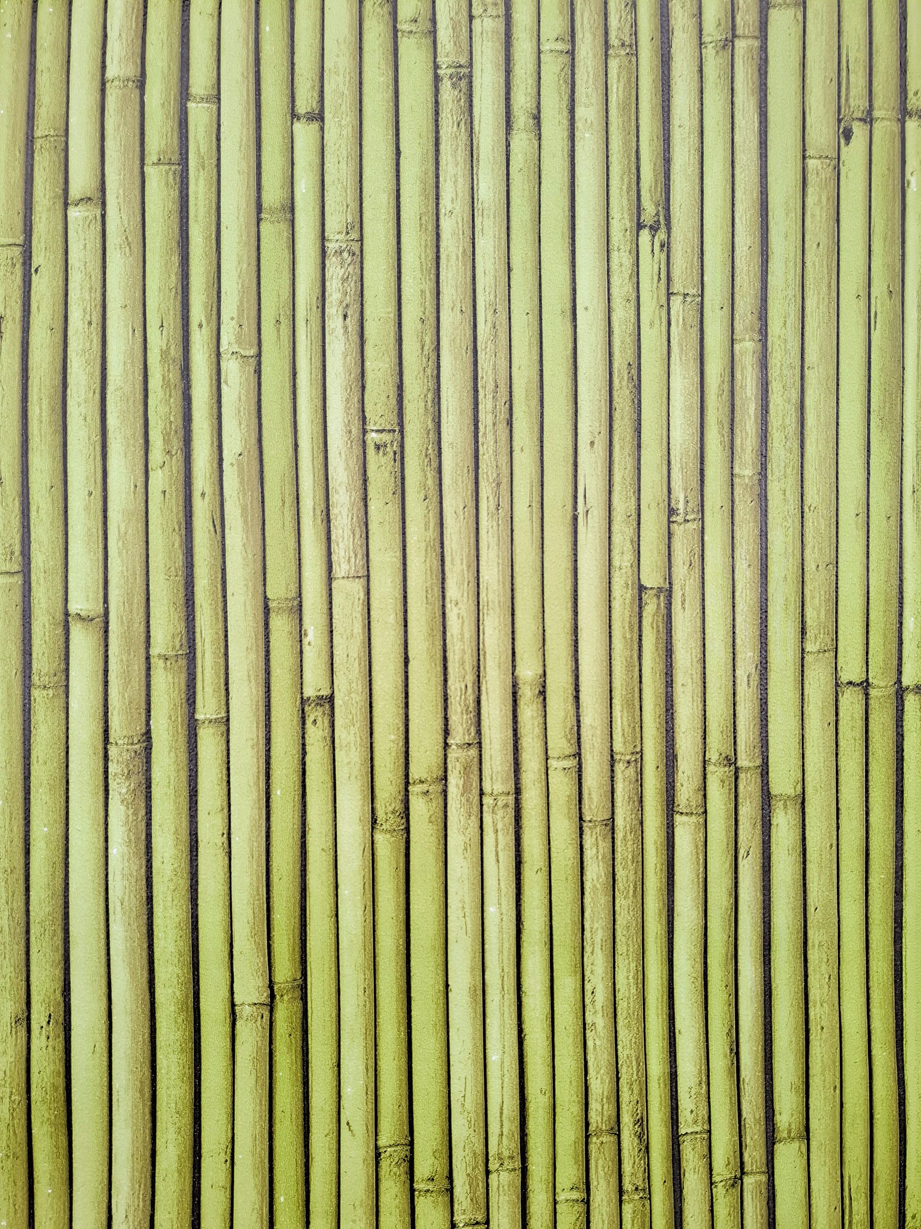 Шпалери прості паперові Шарм Бамбук 177-03 - фото 4 Шпалери прості паперові Шарм Бамбук 177-03 - фото 4