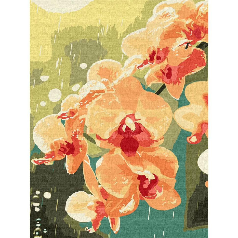 Картина по номерам Ideyka Орхидея в каплях 30x40 см (KHO3325)