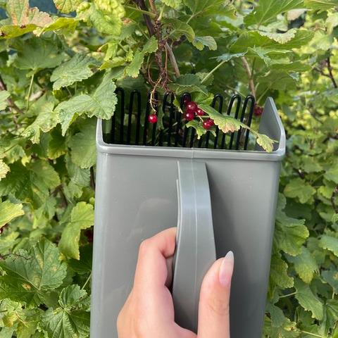 Збиральник ручний для дрібних плодів Сірий - фото 8