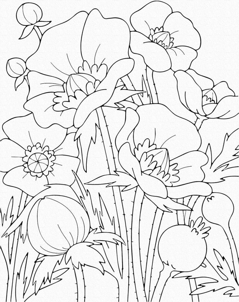 Роспись на холсте Art Craft Маки 25х30 см (15506-AC)