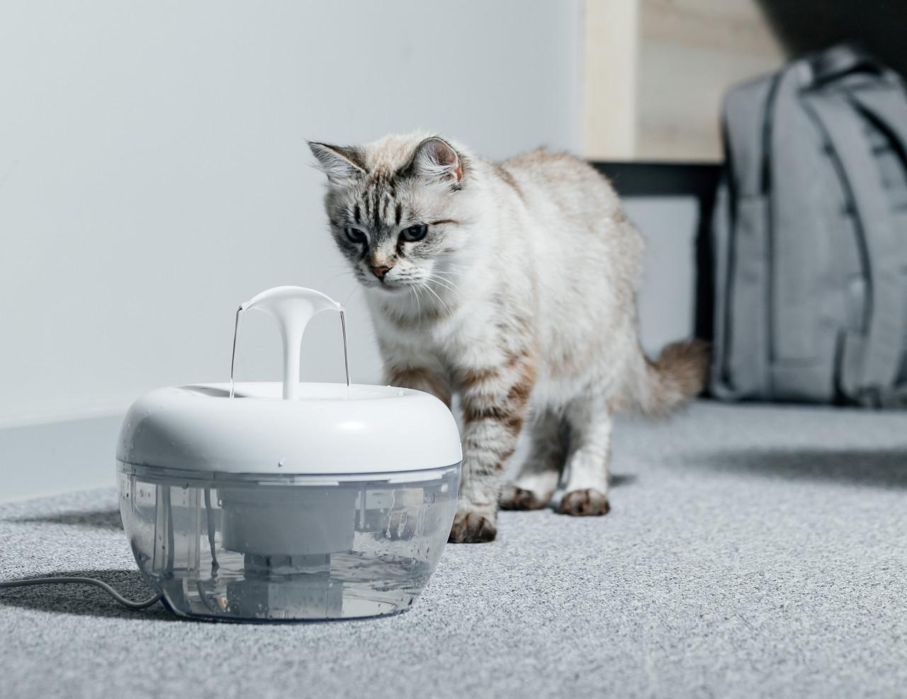 Поилка фонтан для кошек PAWOOF 1,5 л с фильтром (1069312191) - фото 4