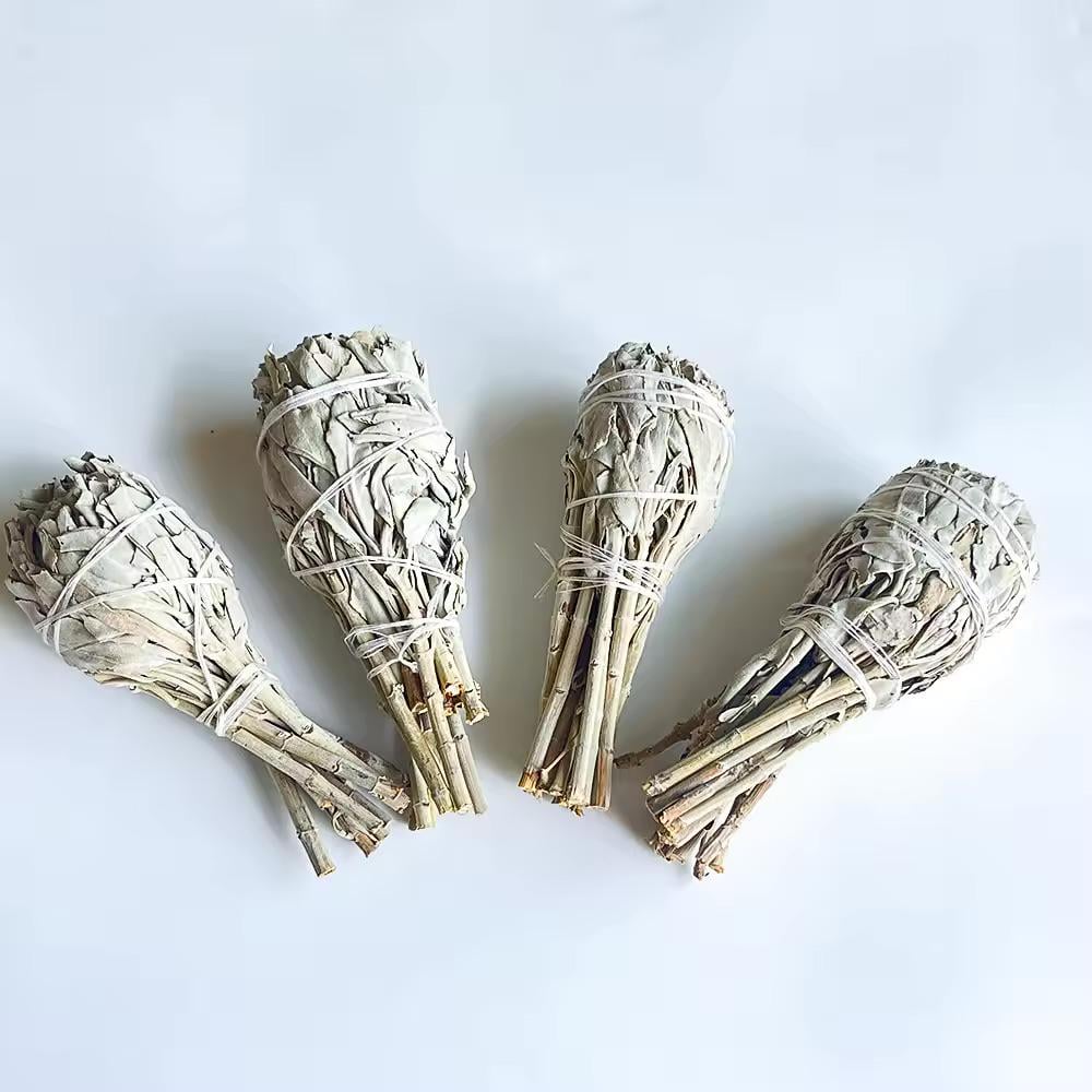 Шалфей на калифорнийской ножке White Sage белый факел 14 см (14-1) - фото 3 Шалфей на калифорнийской ножке White Sage белый факел 14 см (14-1) - фото 3