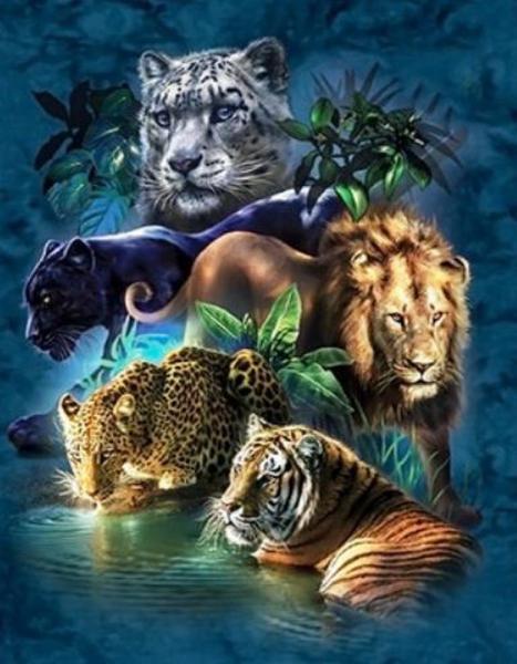 Картина по номерам Josef Otten Животные Дикие звери 40х50 см в термопакете (5215Y_O-mt)