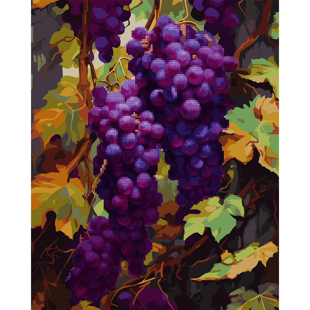 Картина за номерами Santi з алмазною мозаїкою Гроно винограду 40x50 см (954879)
